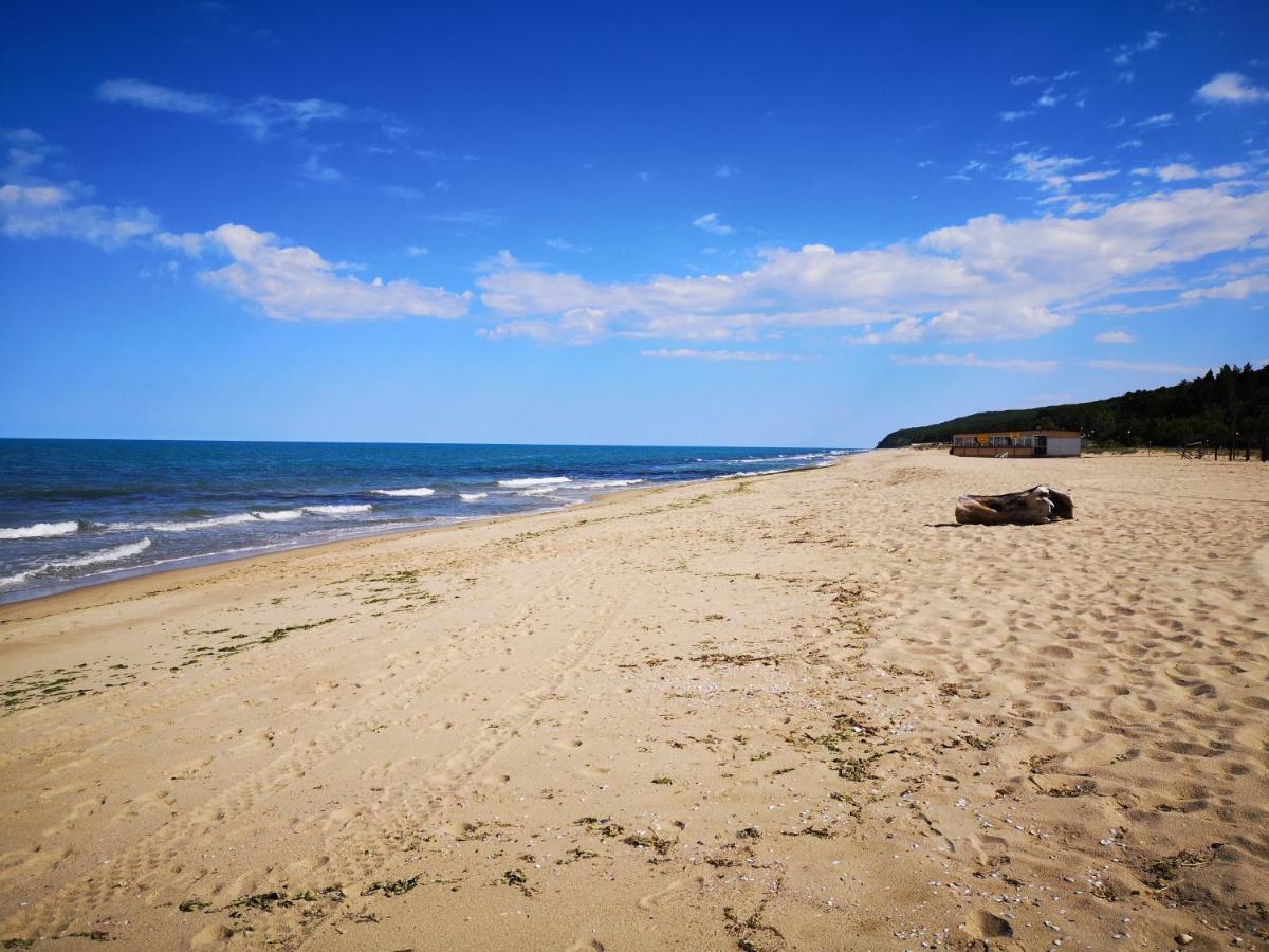 Sea Mood Apartment Shkorpilovtsi ภายนอก รูปภาพ